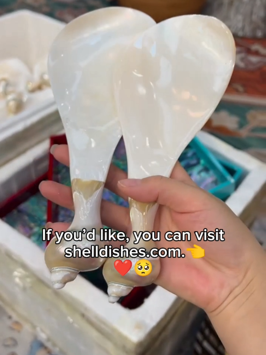 @Dishes Glow-🖇️ in Bio