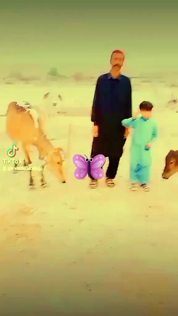 @vxhxbxbkxbcjc