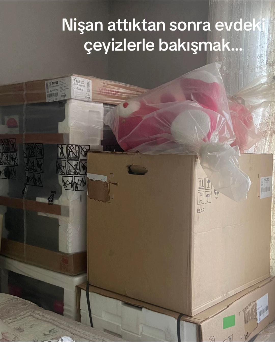 @EcecerenŞıralı❤️