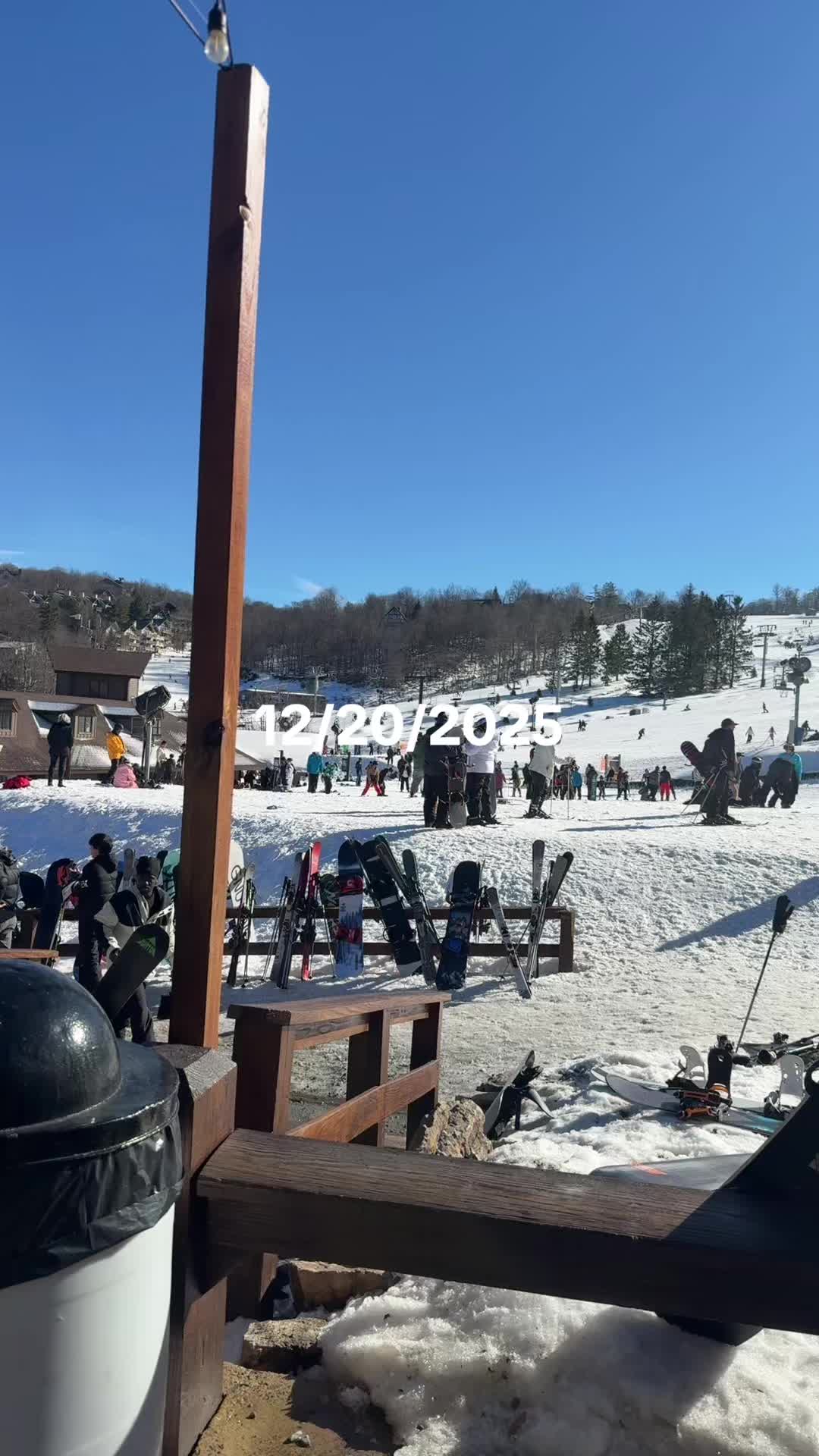@Parisa Taghavian
