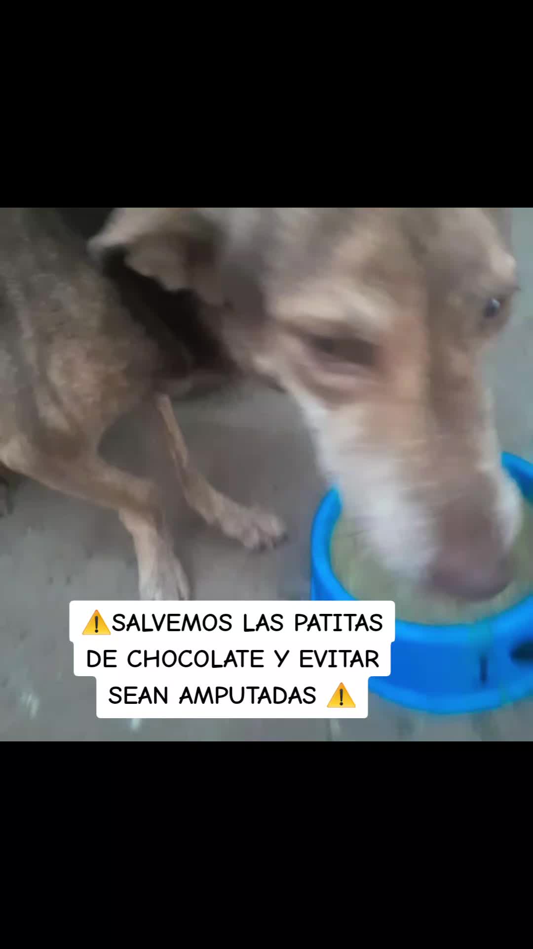 @Huellitasdeamorjaen