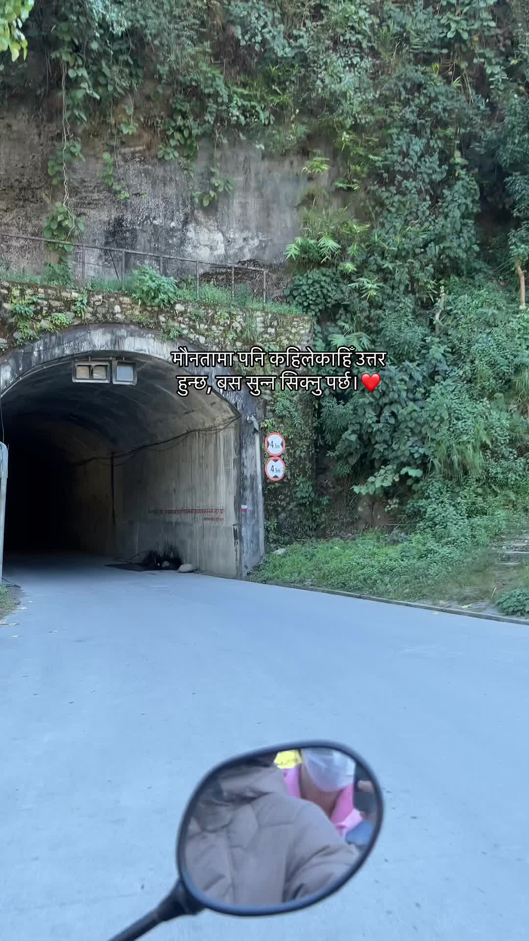 @G~~🐽&bull;>&bull;