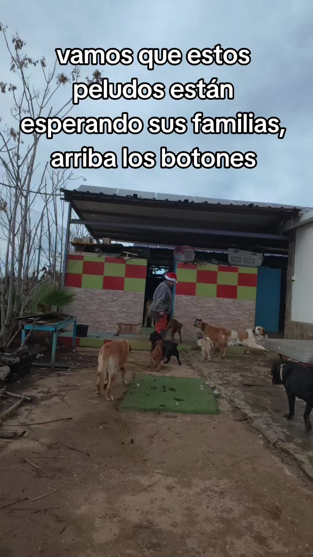 @Lamanadademontse