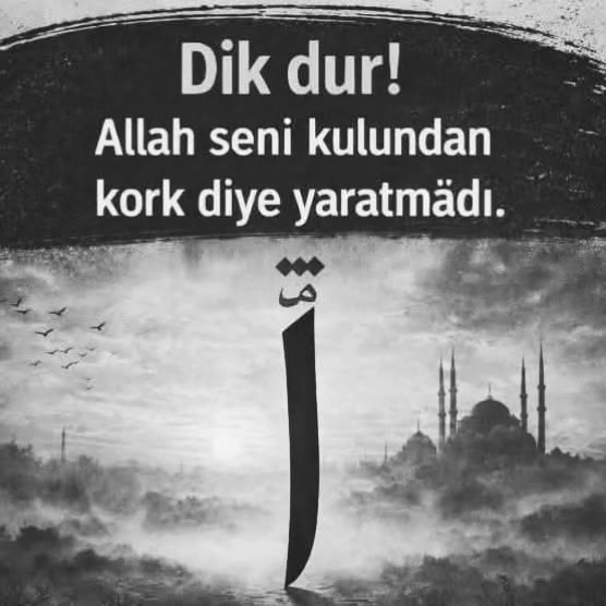 @Paşa G&ouml;nl&uuml;m