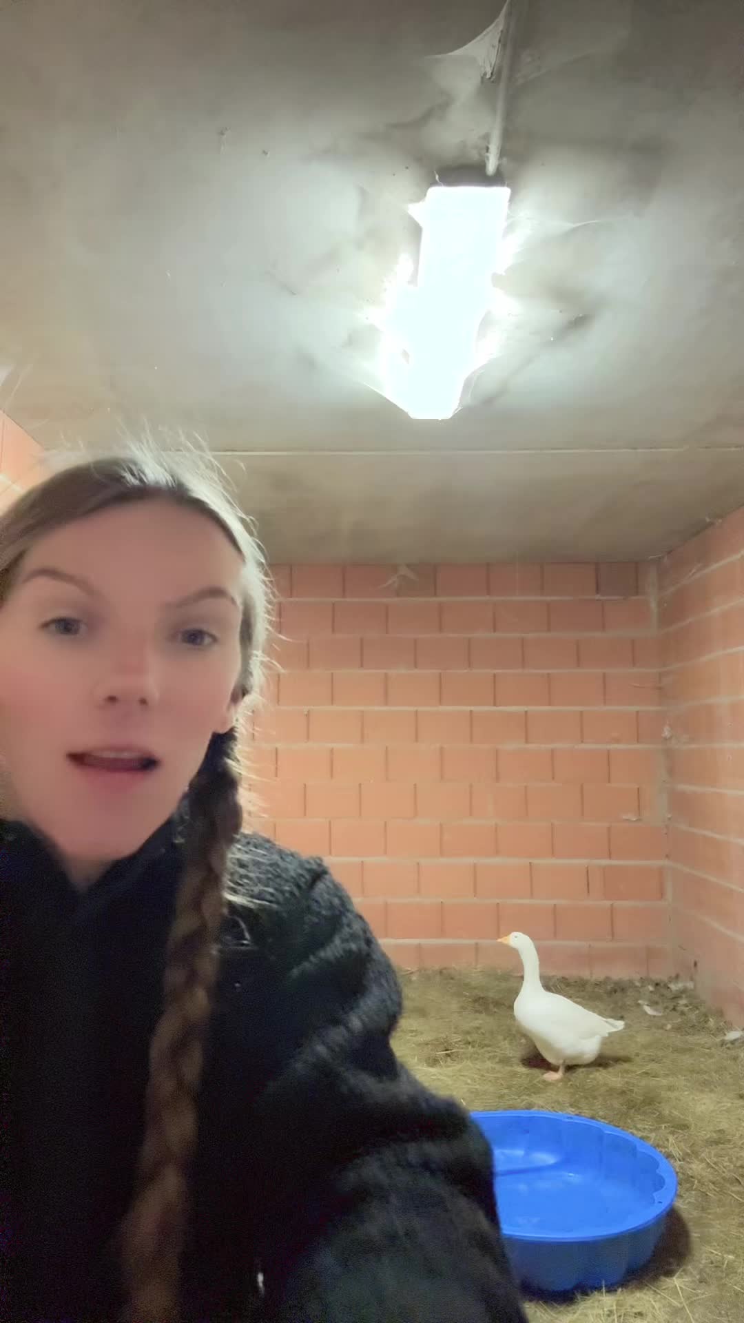 @HafiHorse2