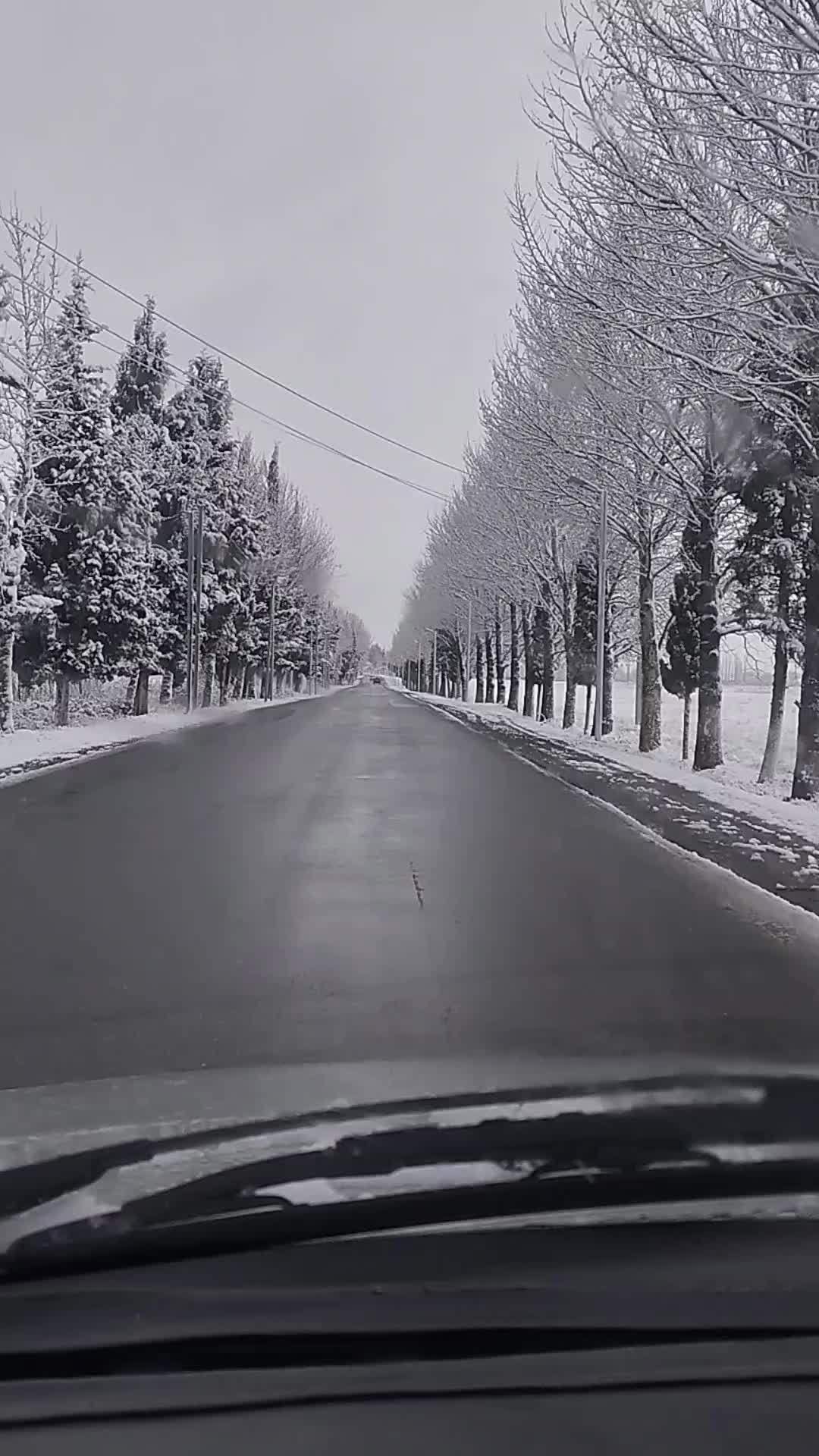 @Elyar 715