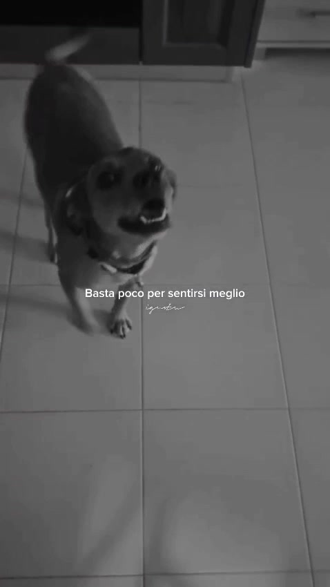 @Stefano