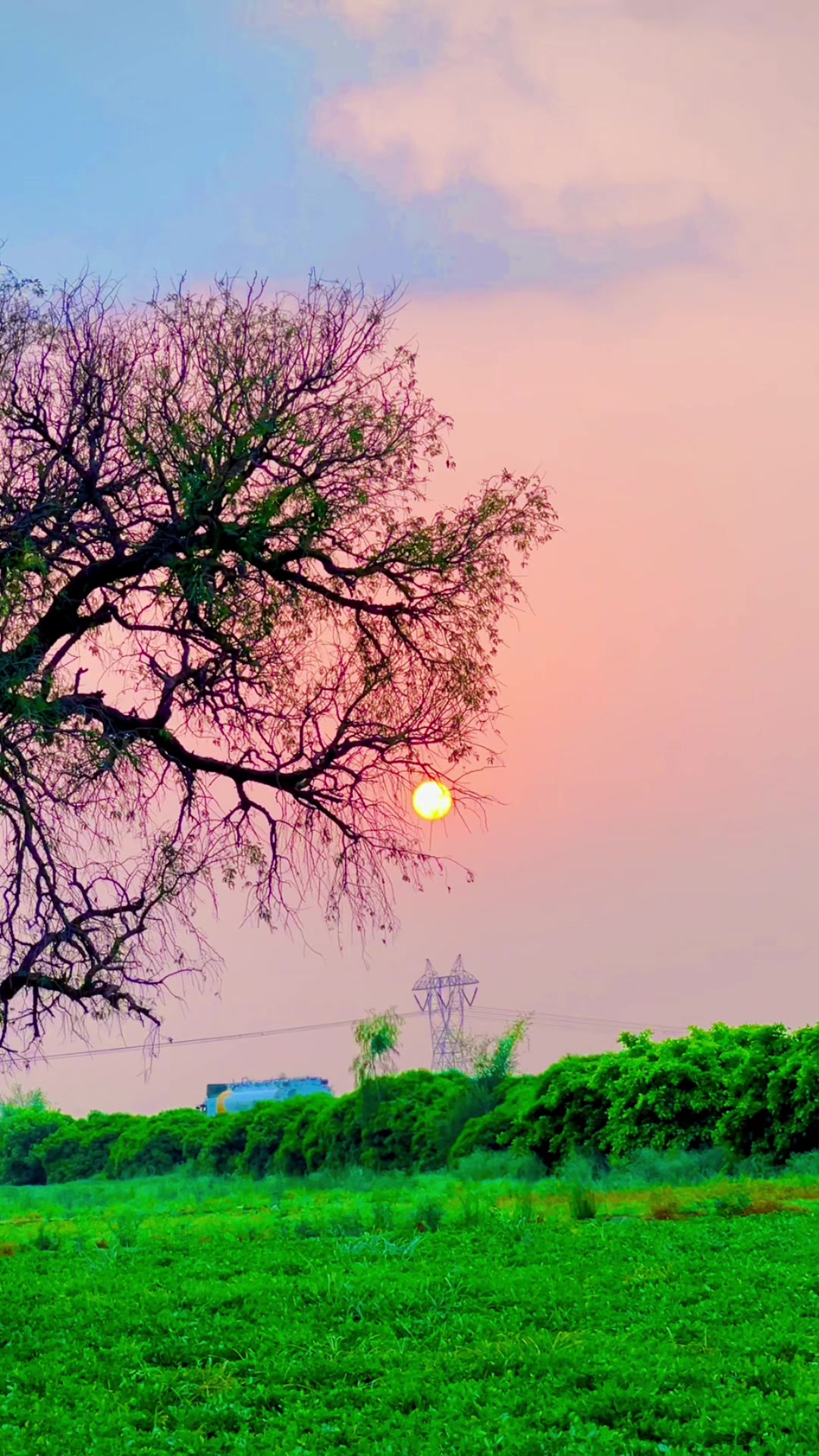 @🍁اپنا تلہ گنگ🦋🌸🥀