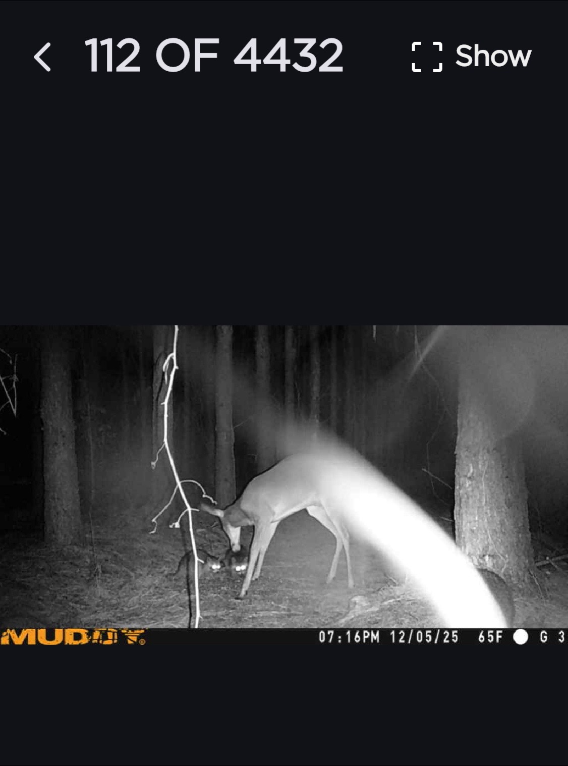 @THE_BOOM93 🔧🔫🦌🦆