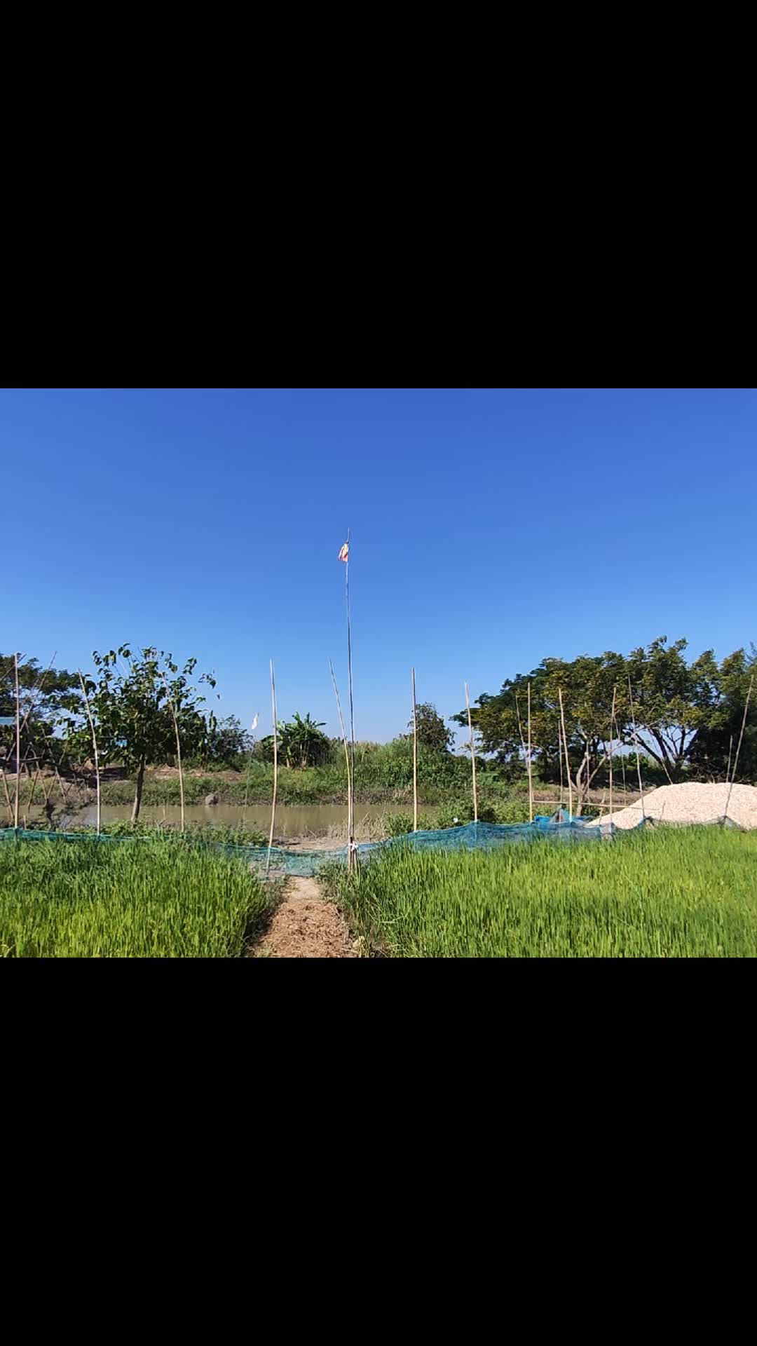 @ရိတ်သိမ်းသမာလေးဘာဗျာ🤫🤫🤫