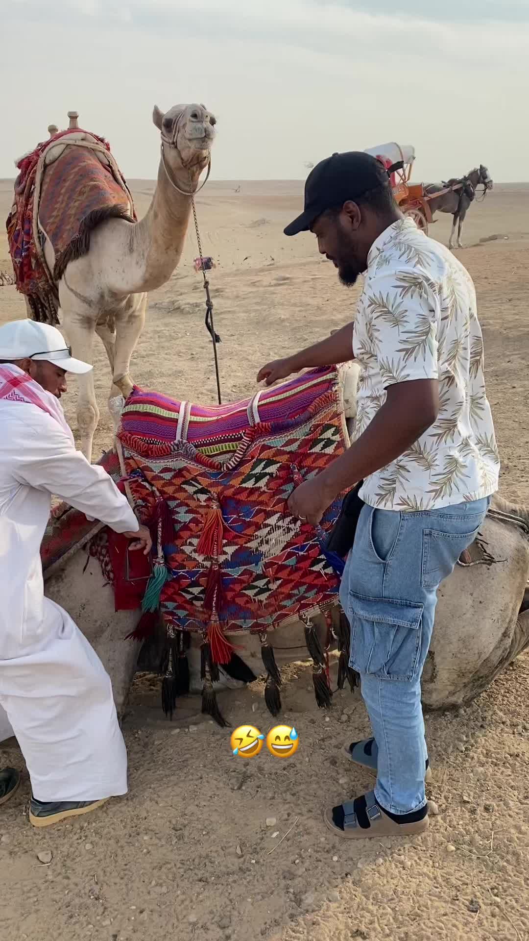 @M Kadima PHARAON