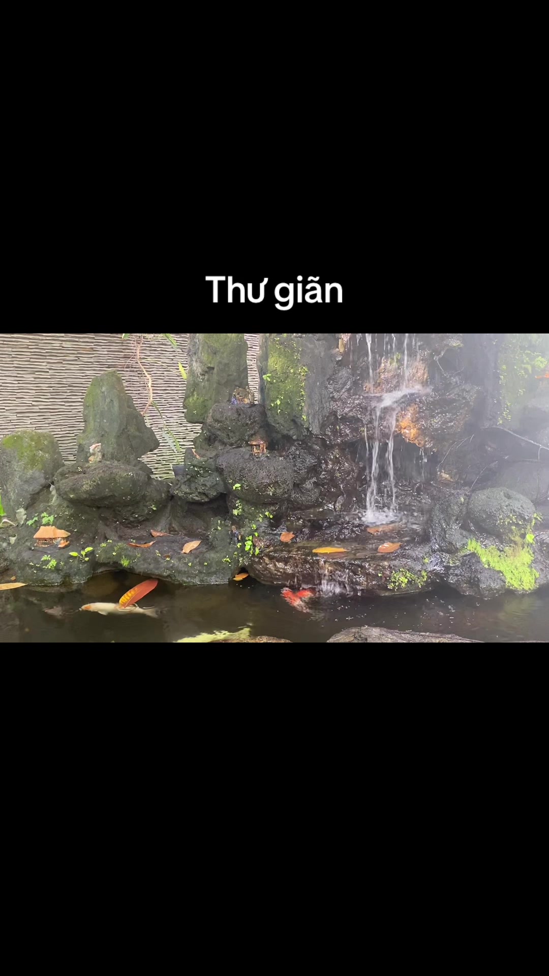 @Nhân.bro