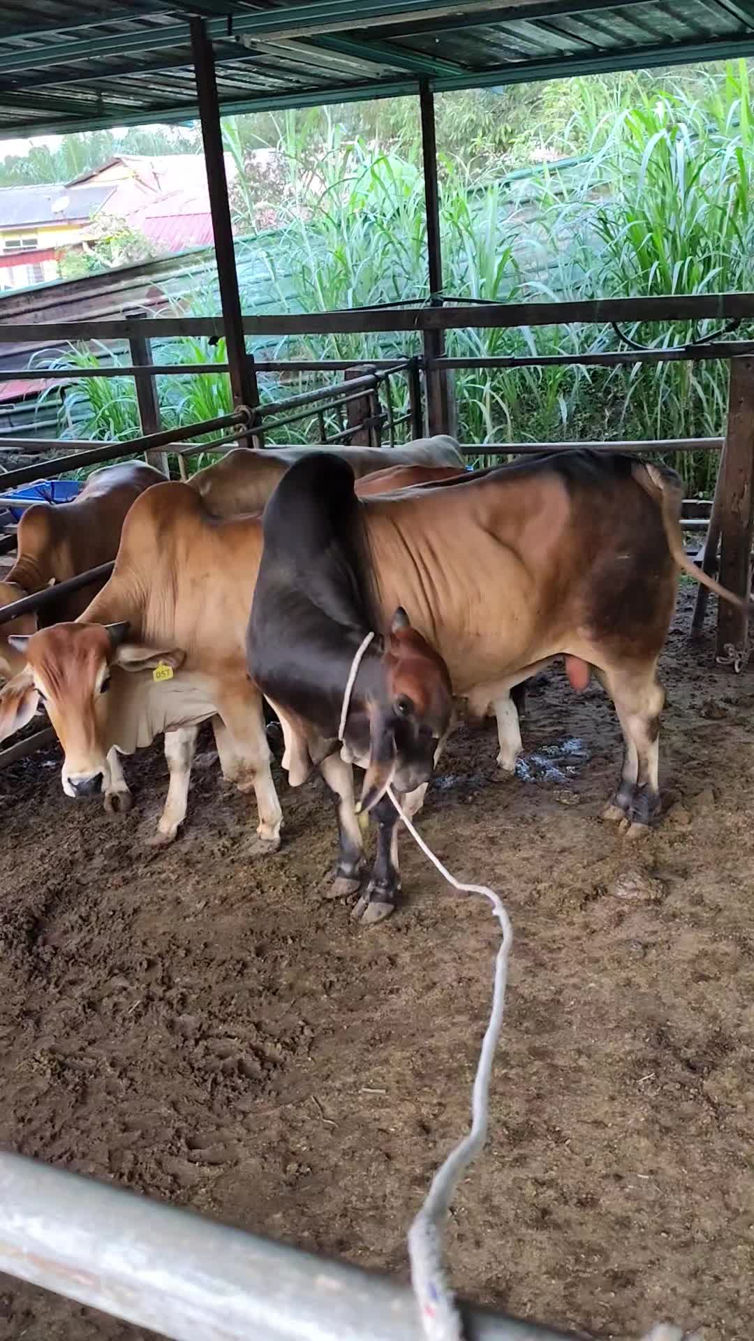 @user5501866124279