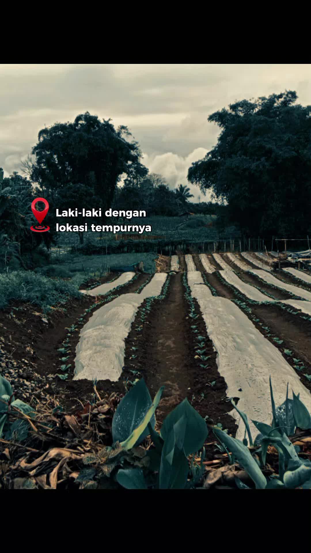 @Arif Tama
