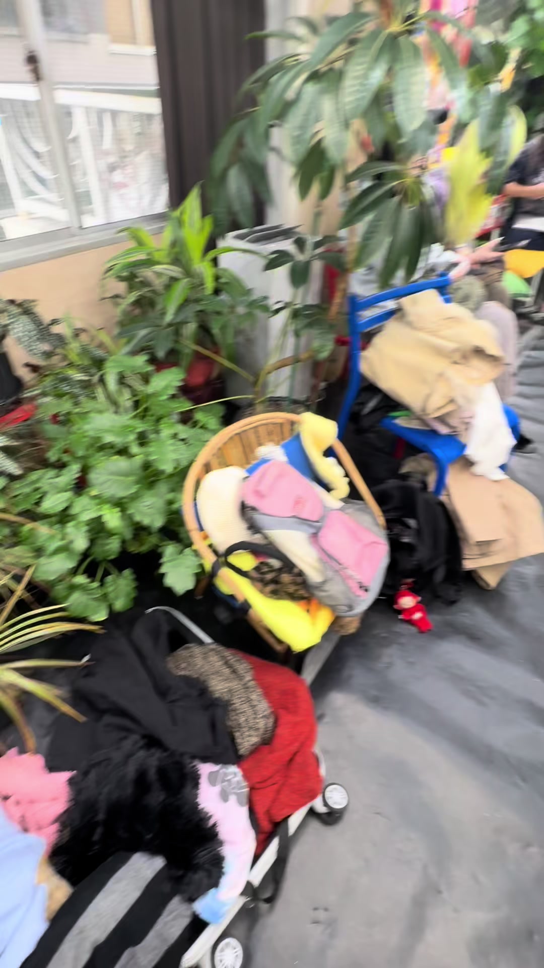 @明治学院大学 ファッションスナップ