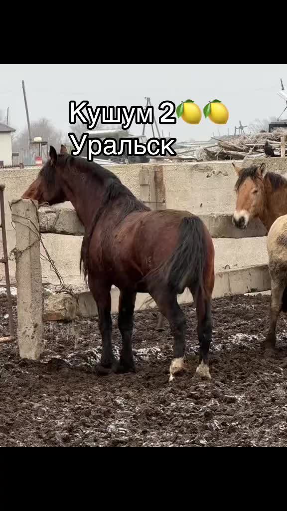 @Есенғали