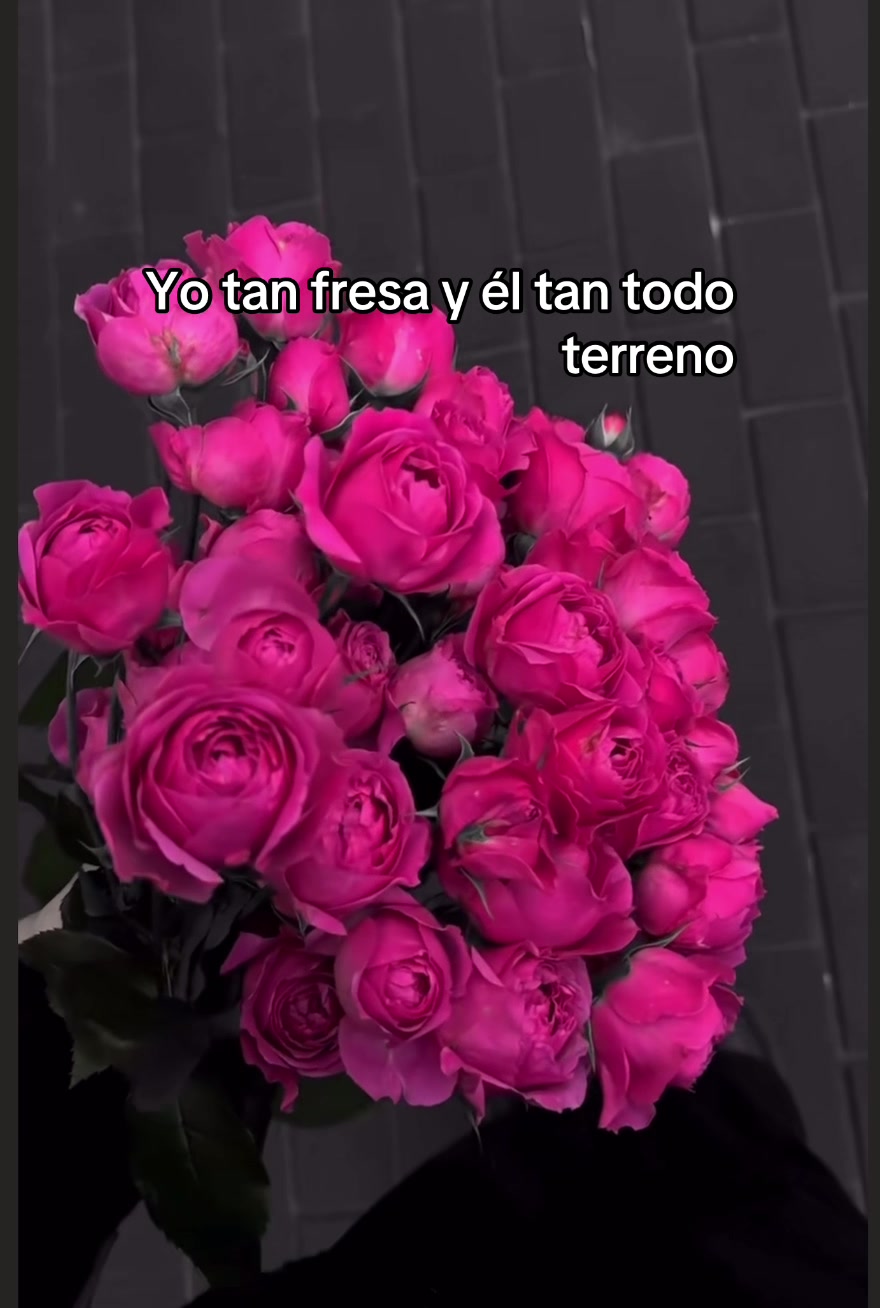 @lenna rg
