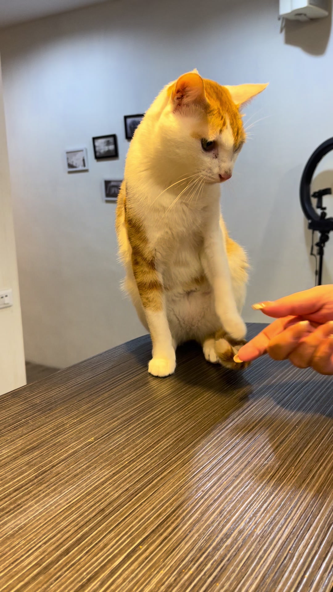 @棠🍭