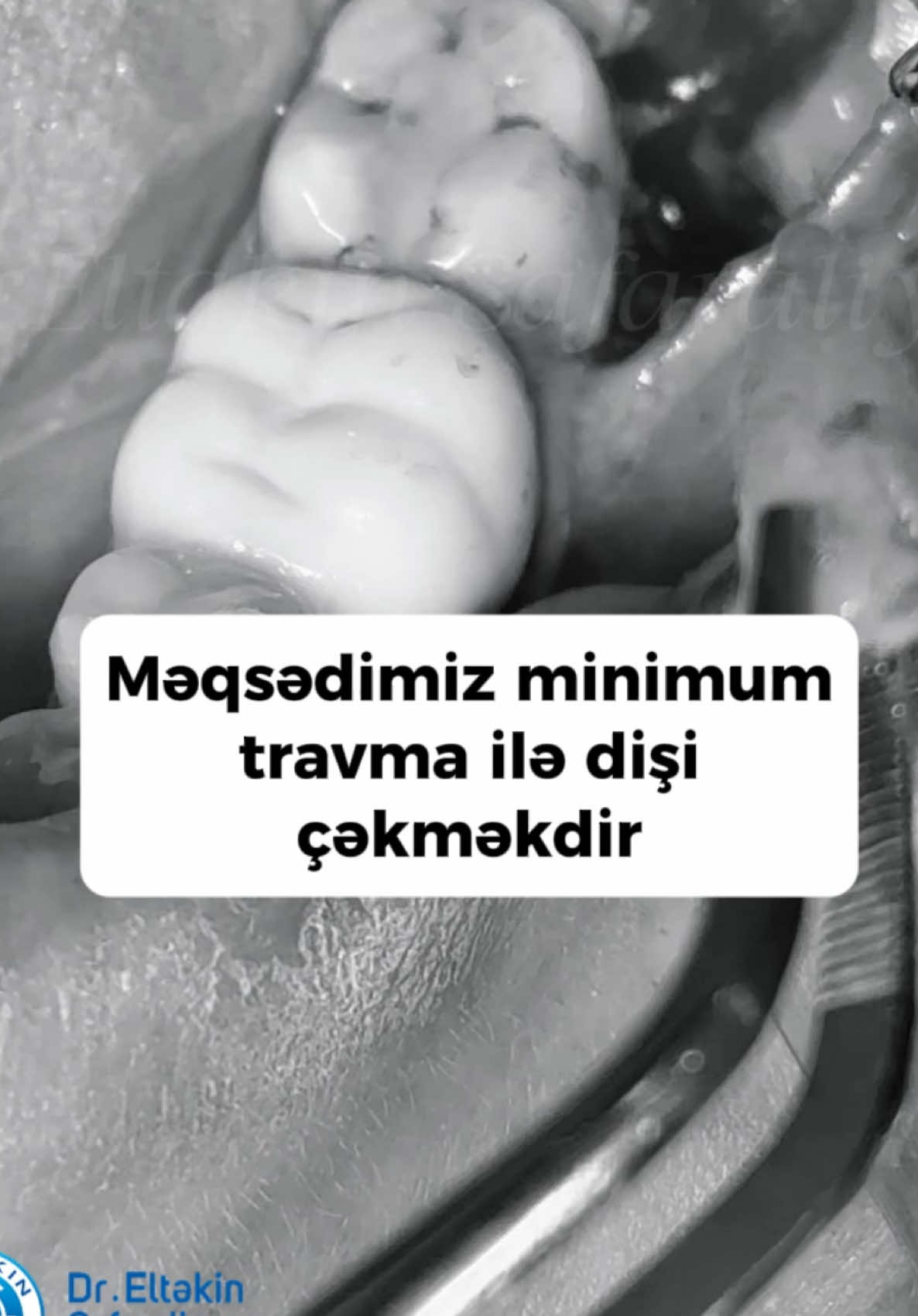 @eltakindentistry