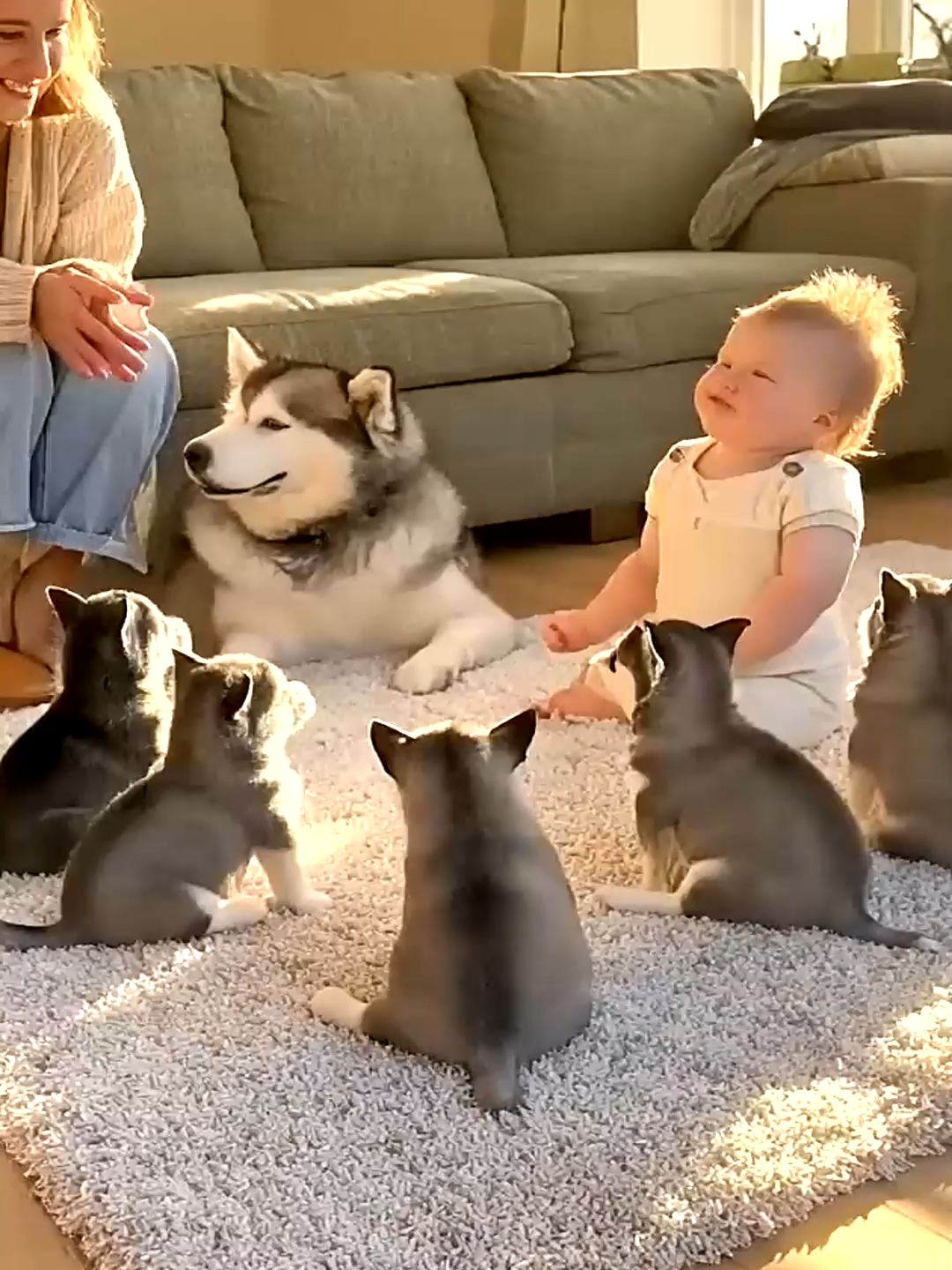 @HeroDog Haven