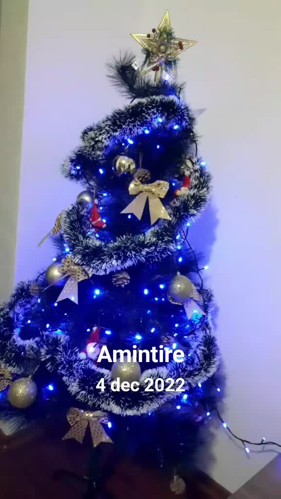 @camy77