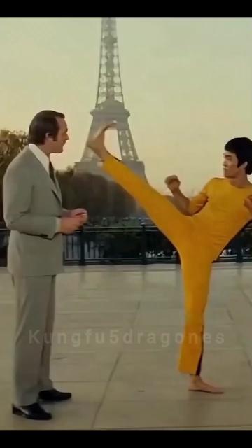 @kungfu5dragones