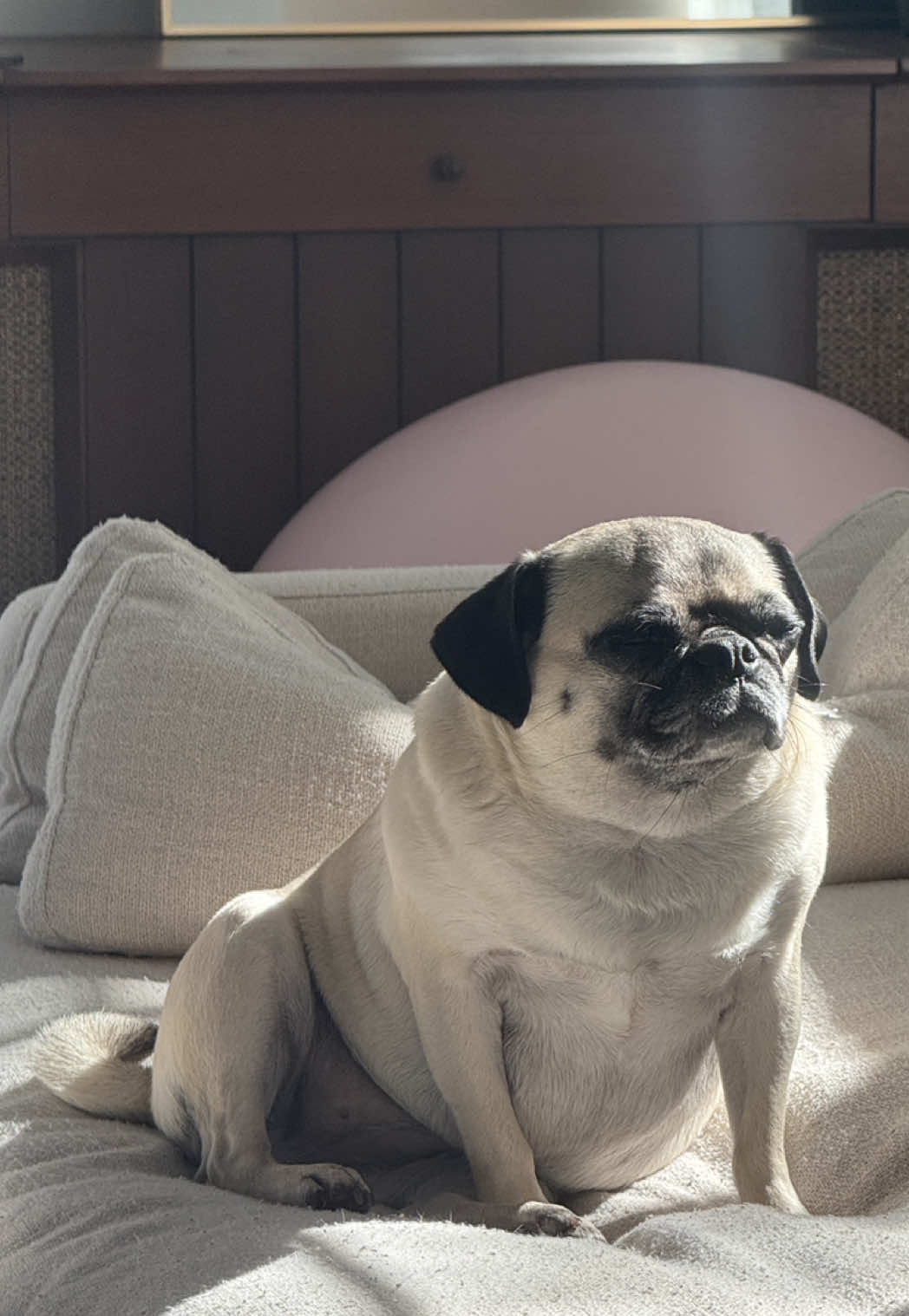 @sassypuggy
