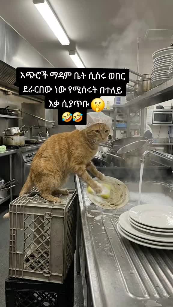@➾My ⏮🦋love ➣⏮mama ➺🔥