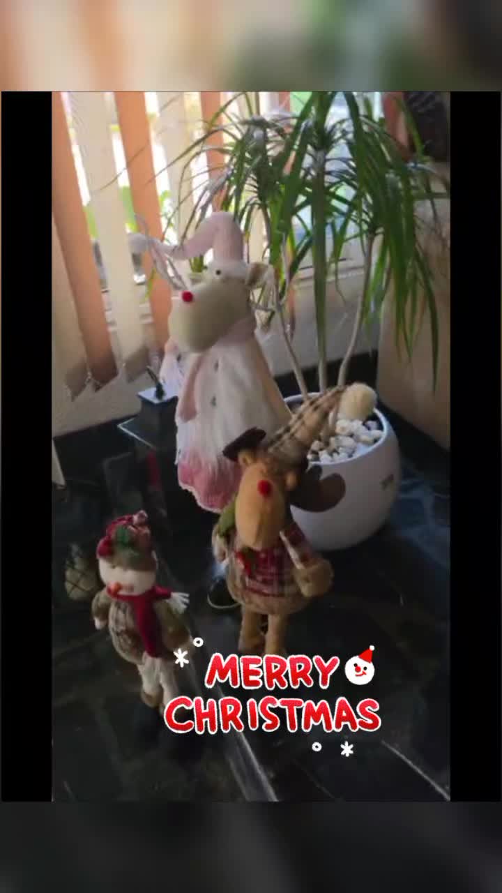 @anianita