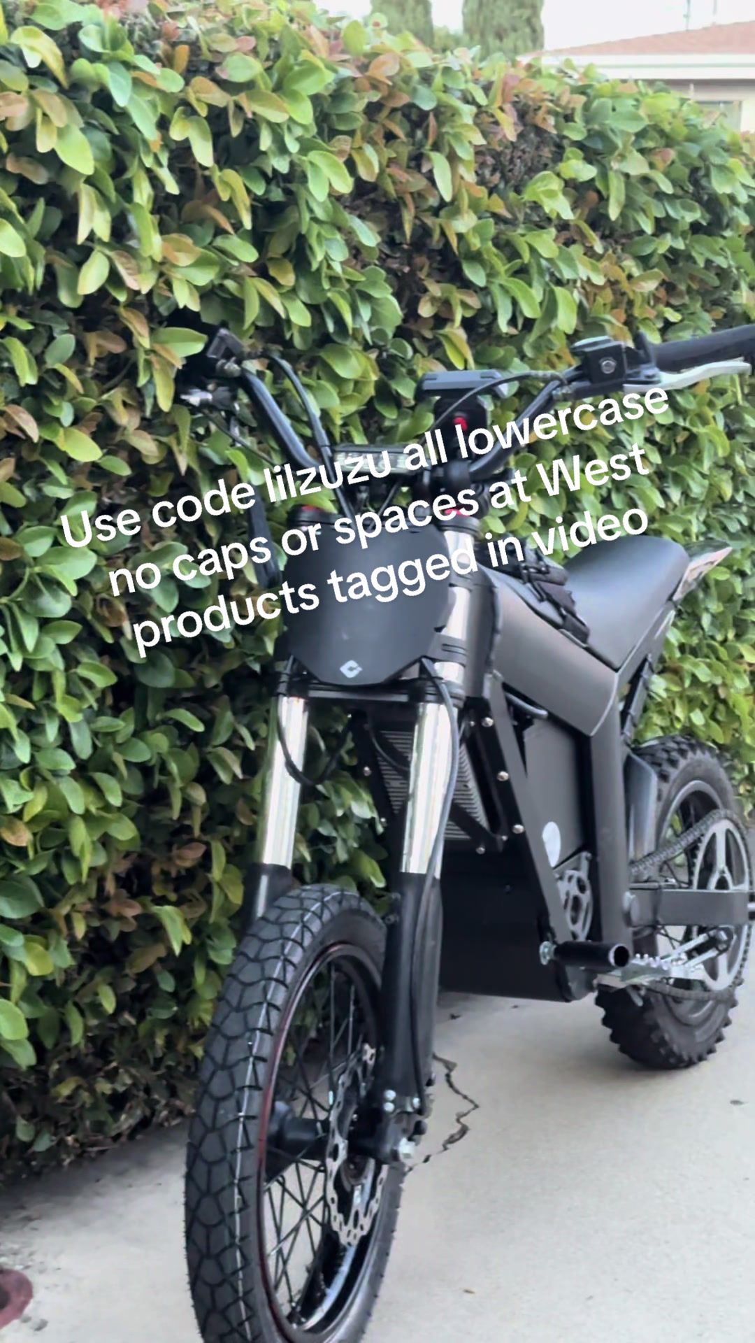 @Lil Zuzu