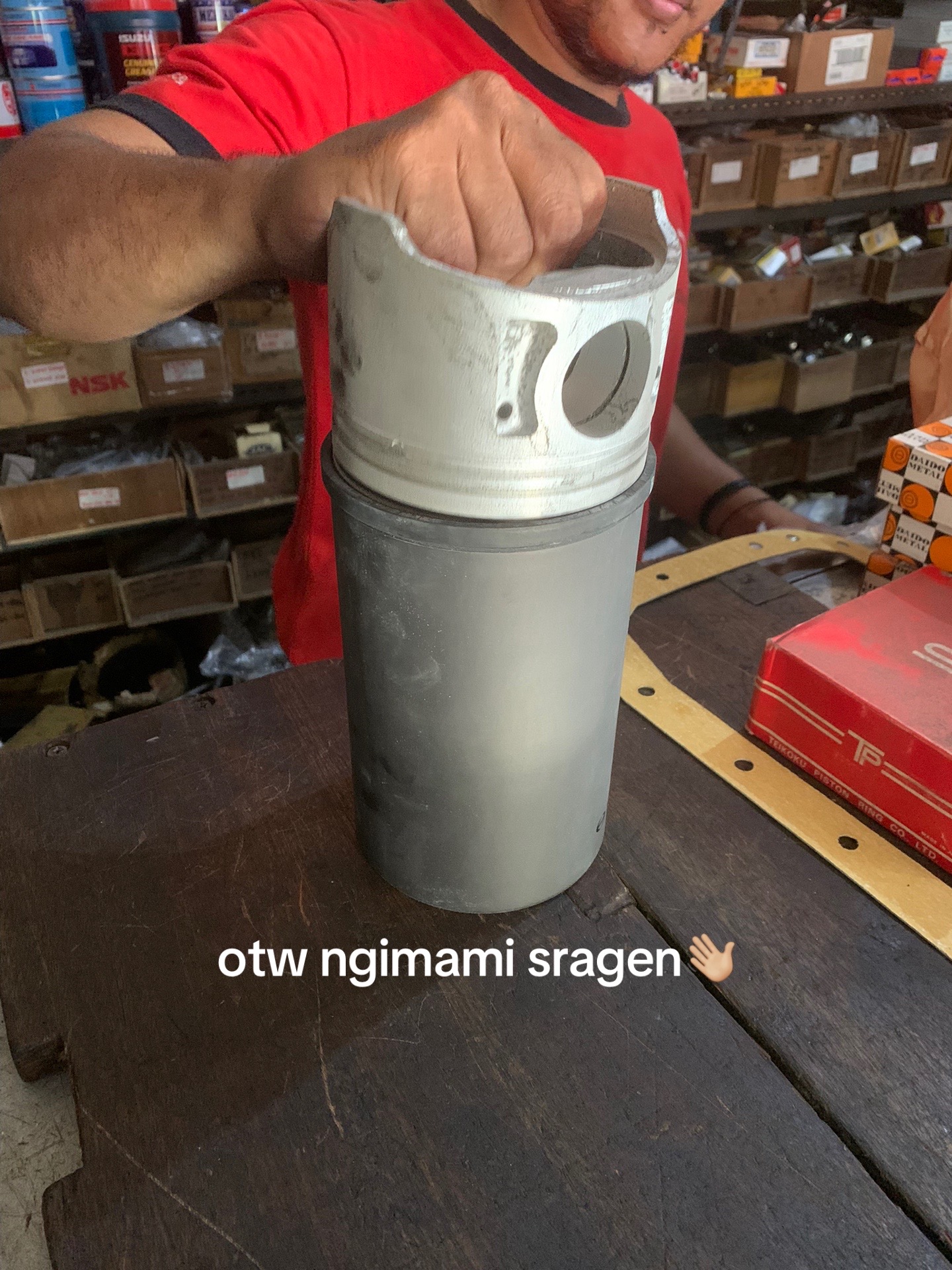 @нєявαηтα