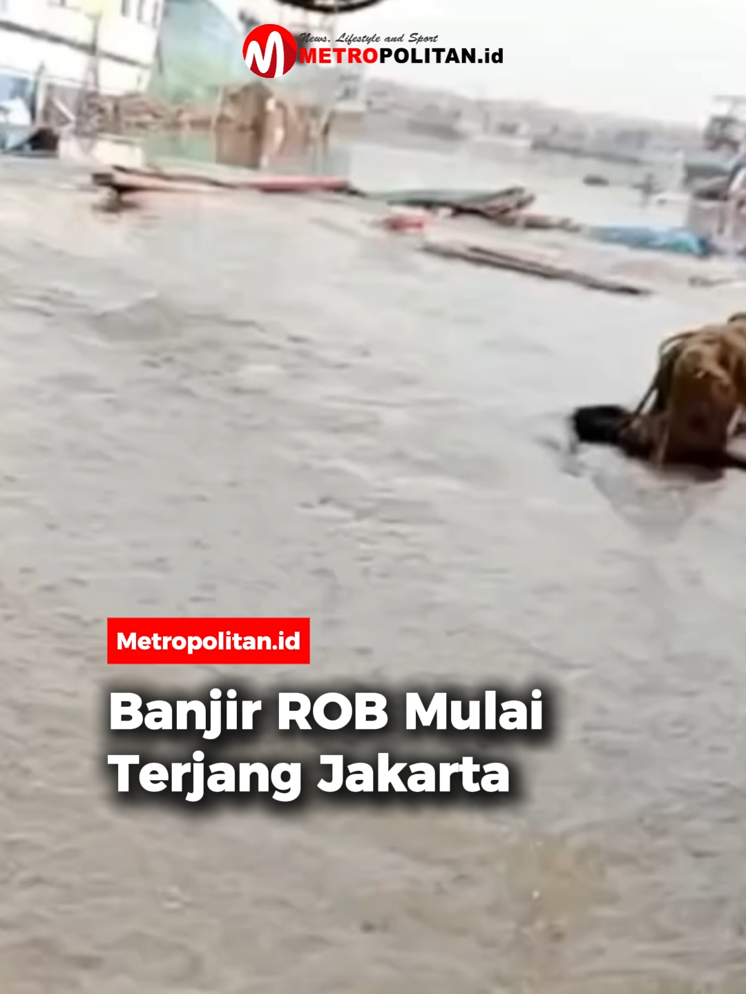 @Metropolitan.id
