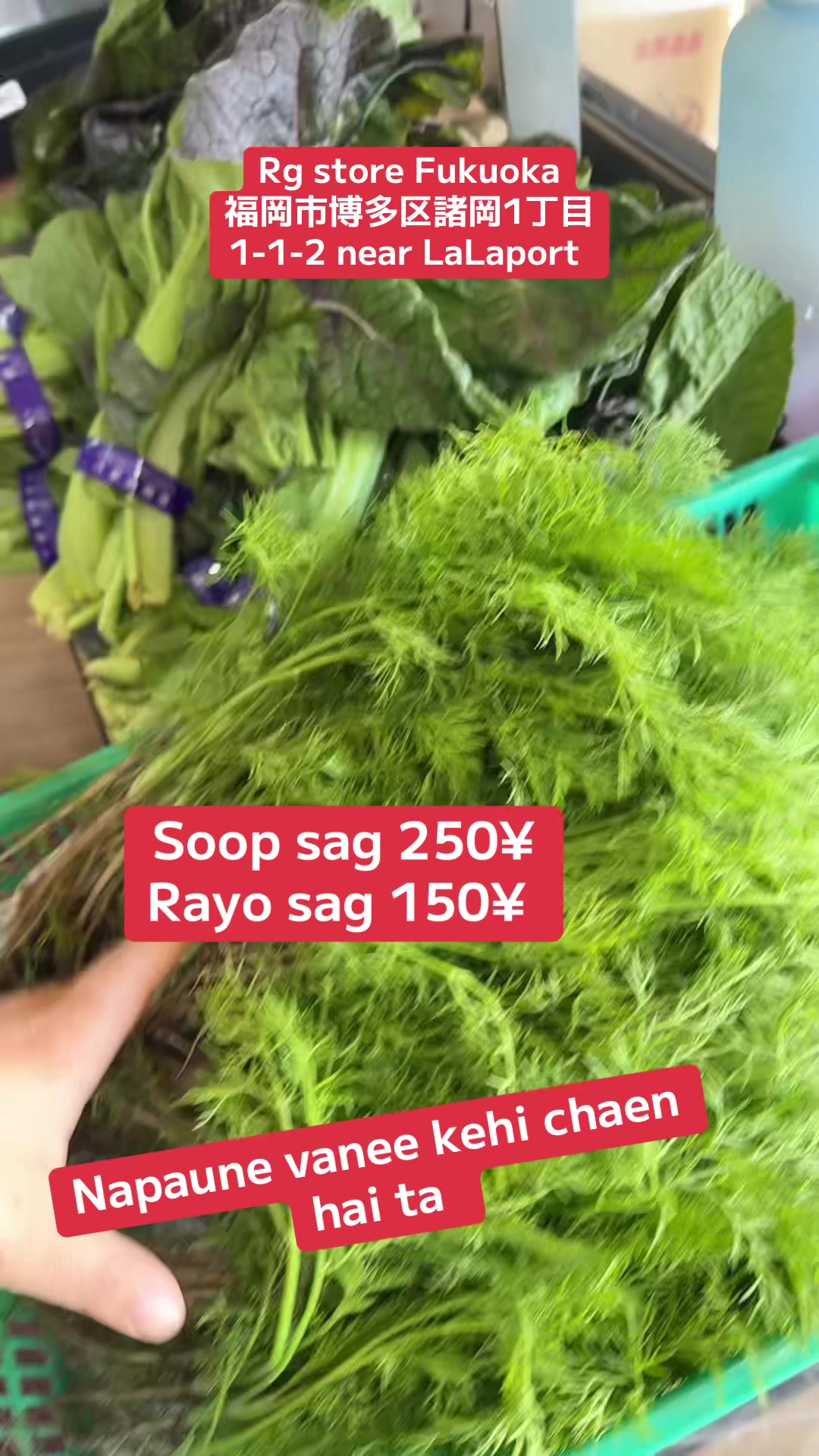@RG Store Fukuoka LaLaport 🧿