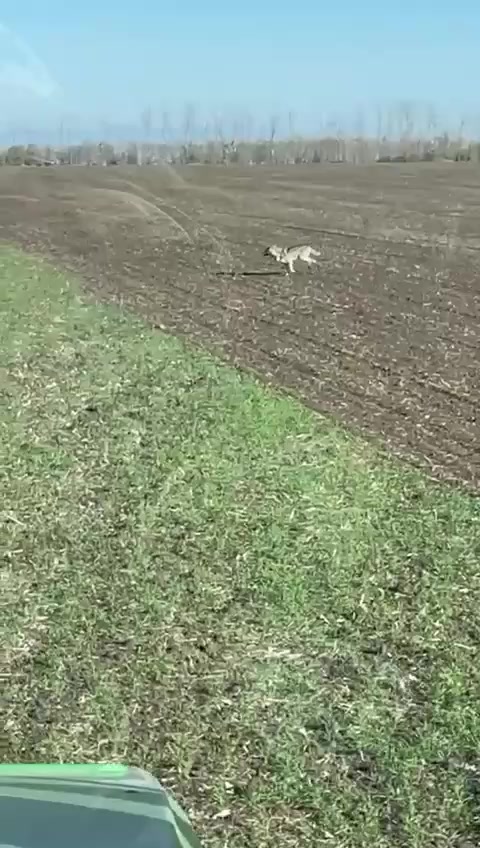 @АНАСТАСИЯ