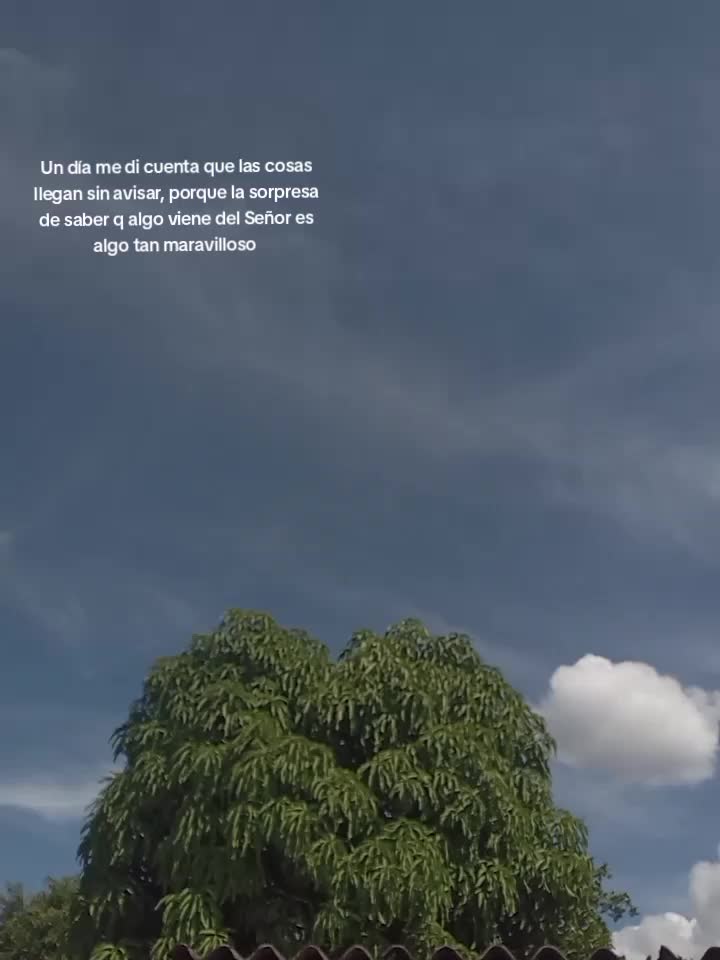 @▸