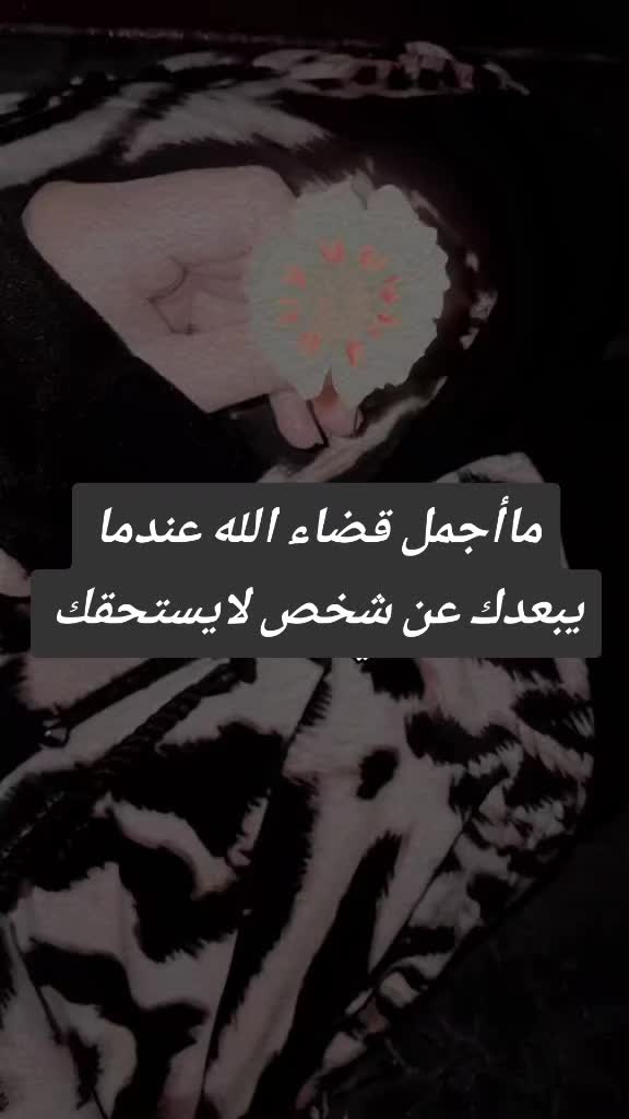 @ريهام زينو