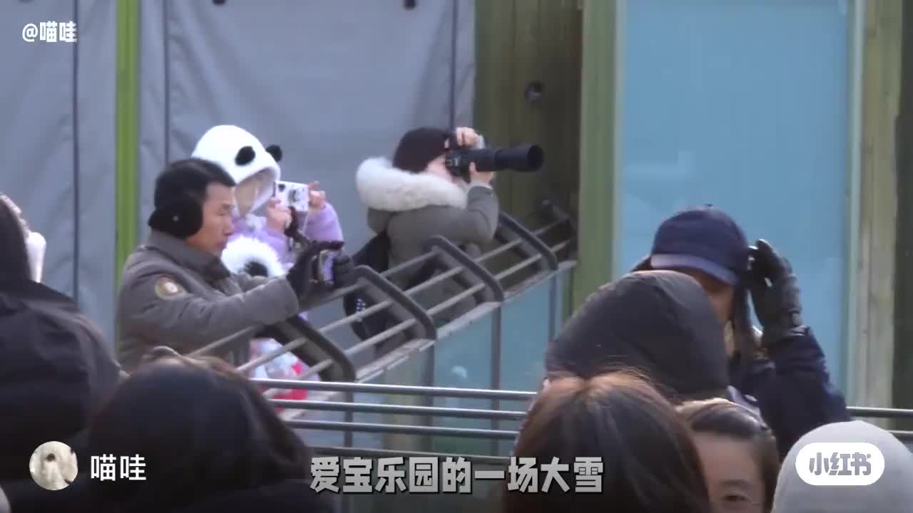 @福寶需要愛的抱抱