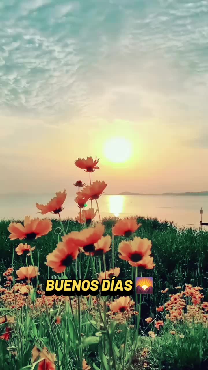 @🩷"Irisbet"🩷JM