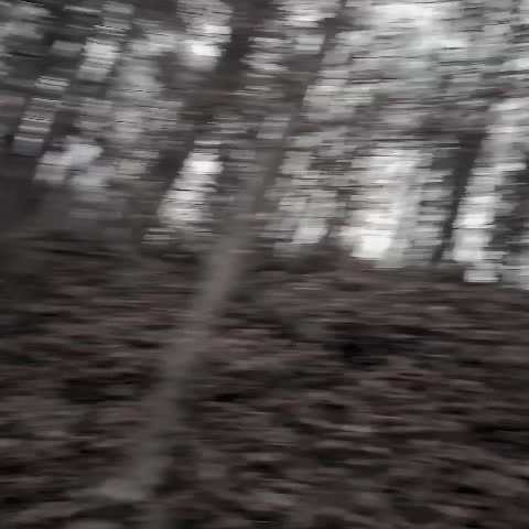 @𓆩NoWayBack𓆪