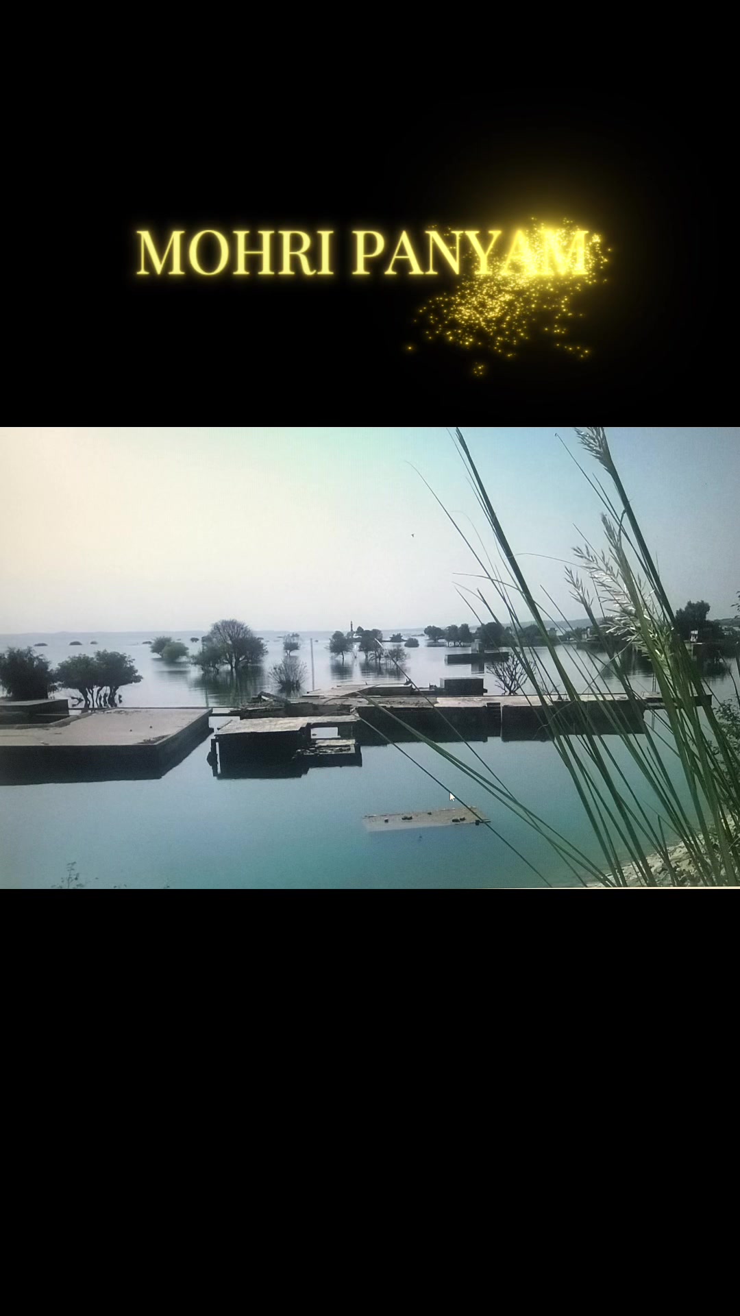 @nasimaslam5