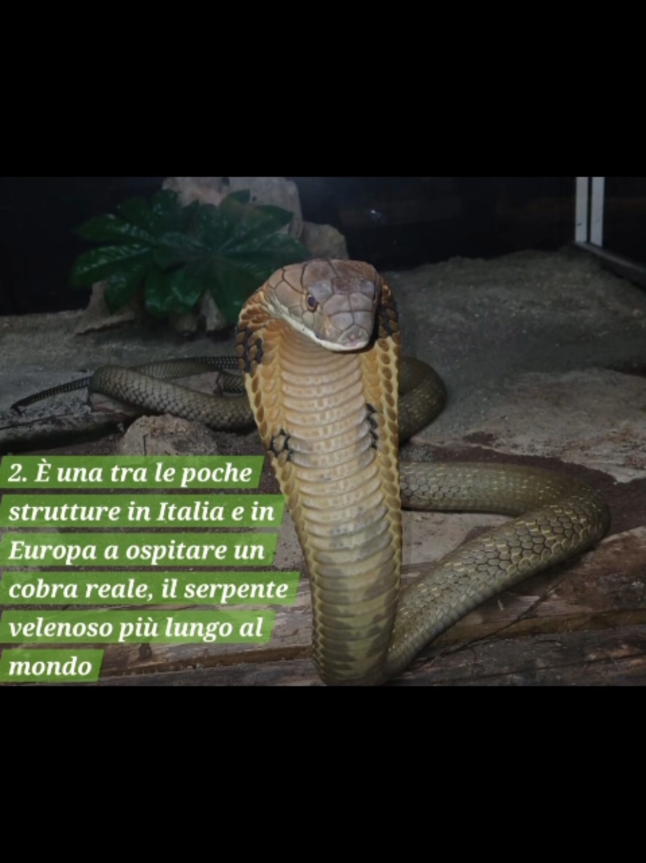 @Parco Zoo delle Star