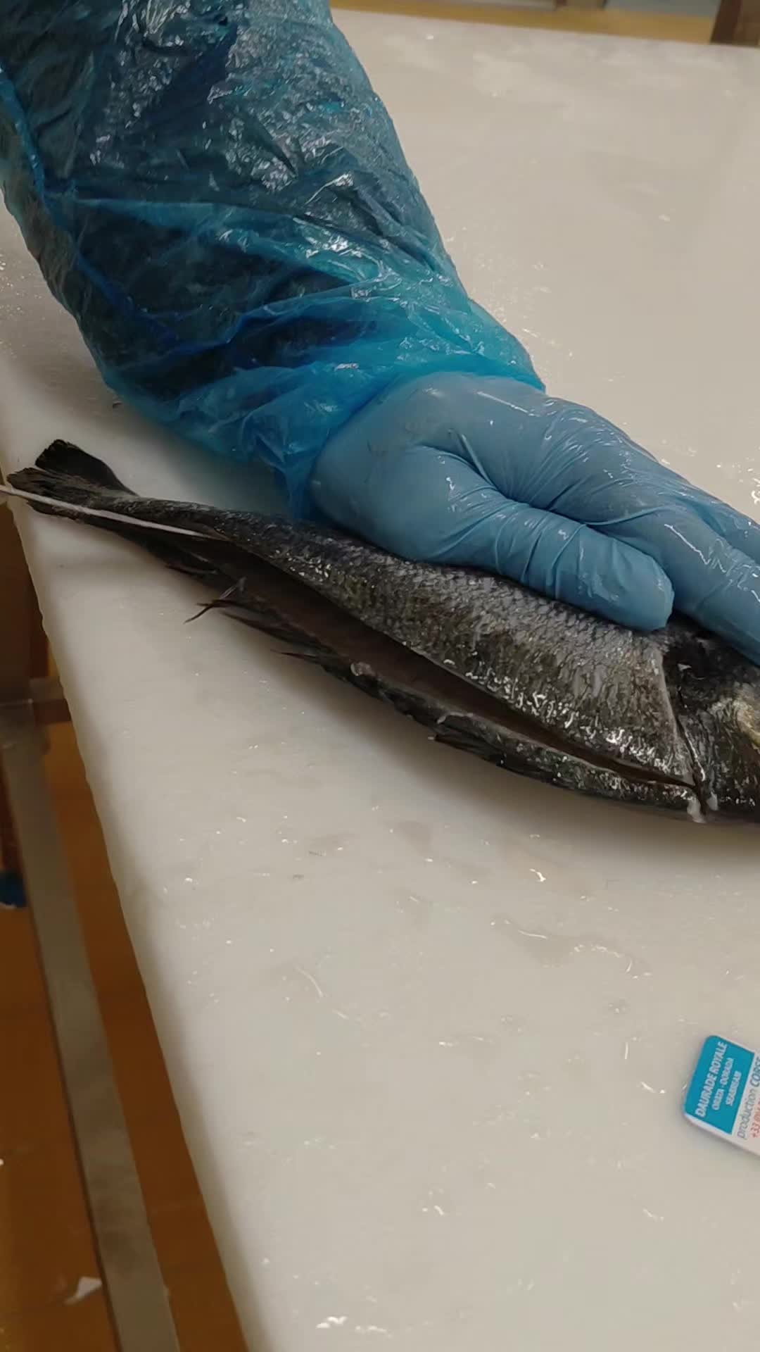 @lapprenti.poissonier