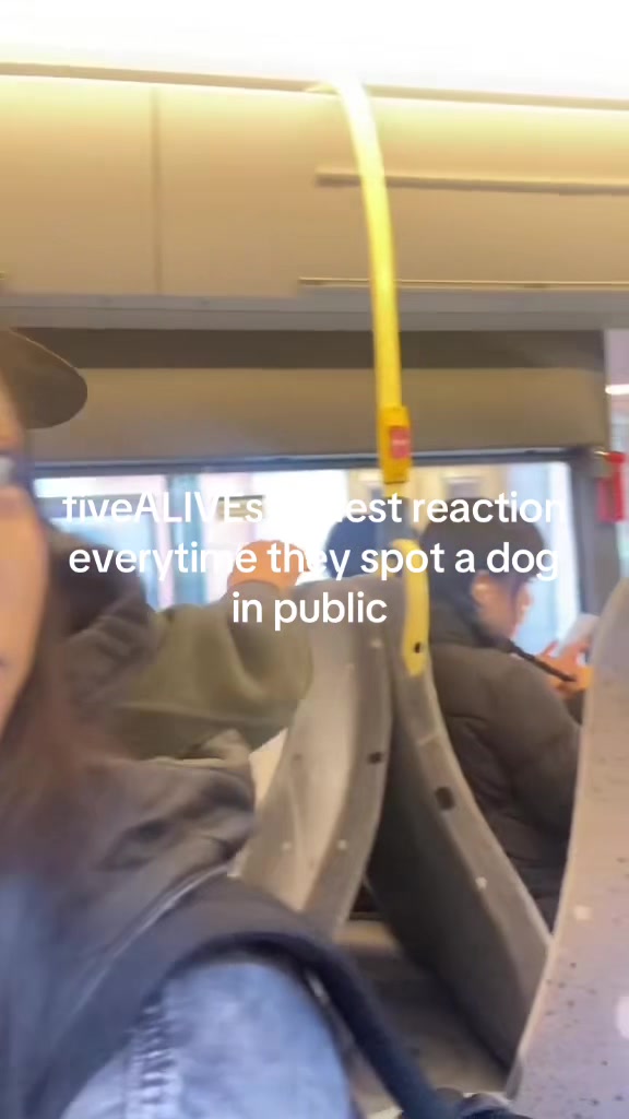 @fiveALIVE