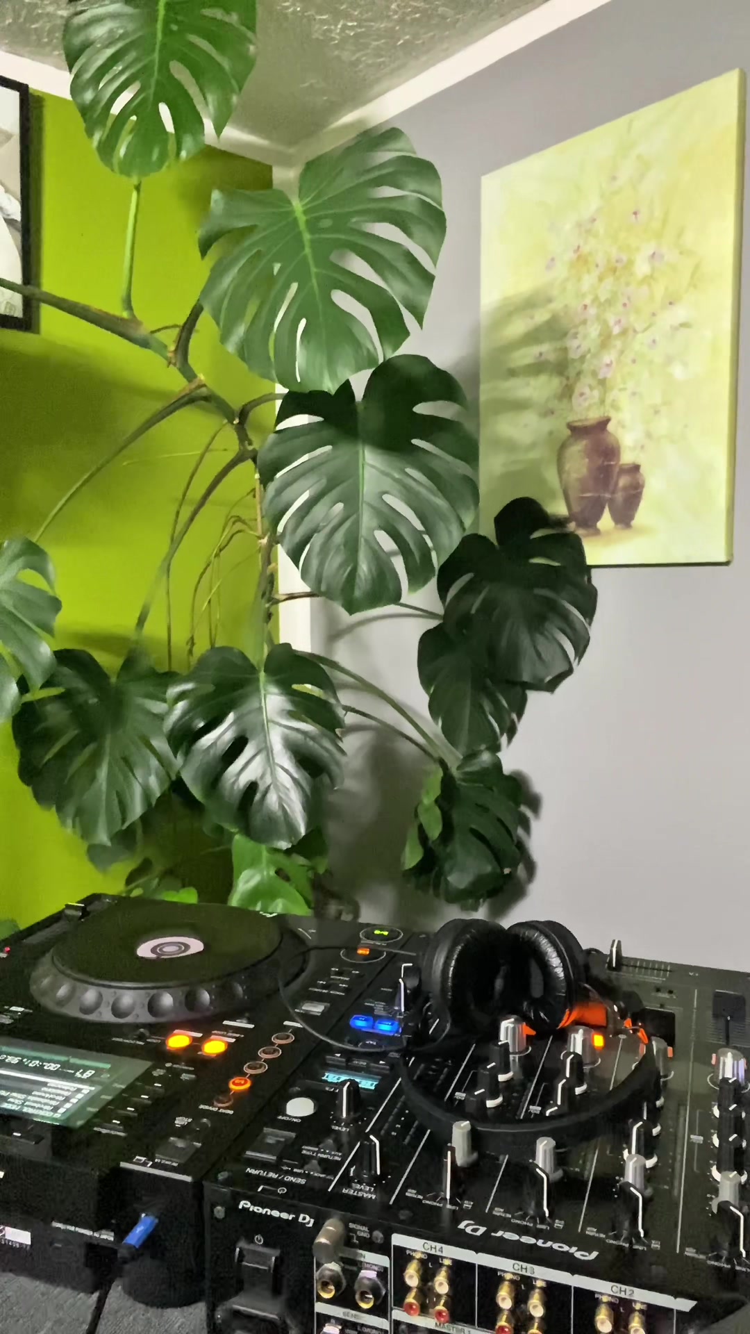 @djcarimo