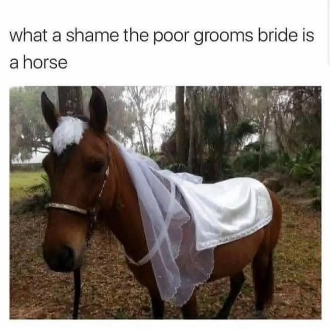 @Emo Night North