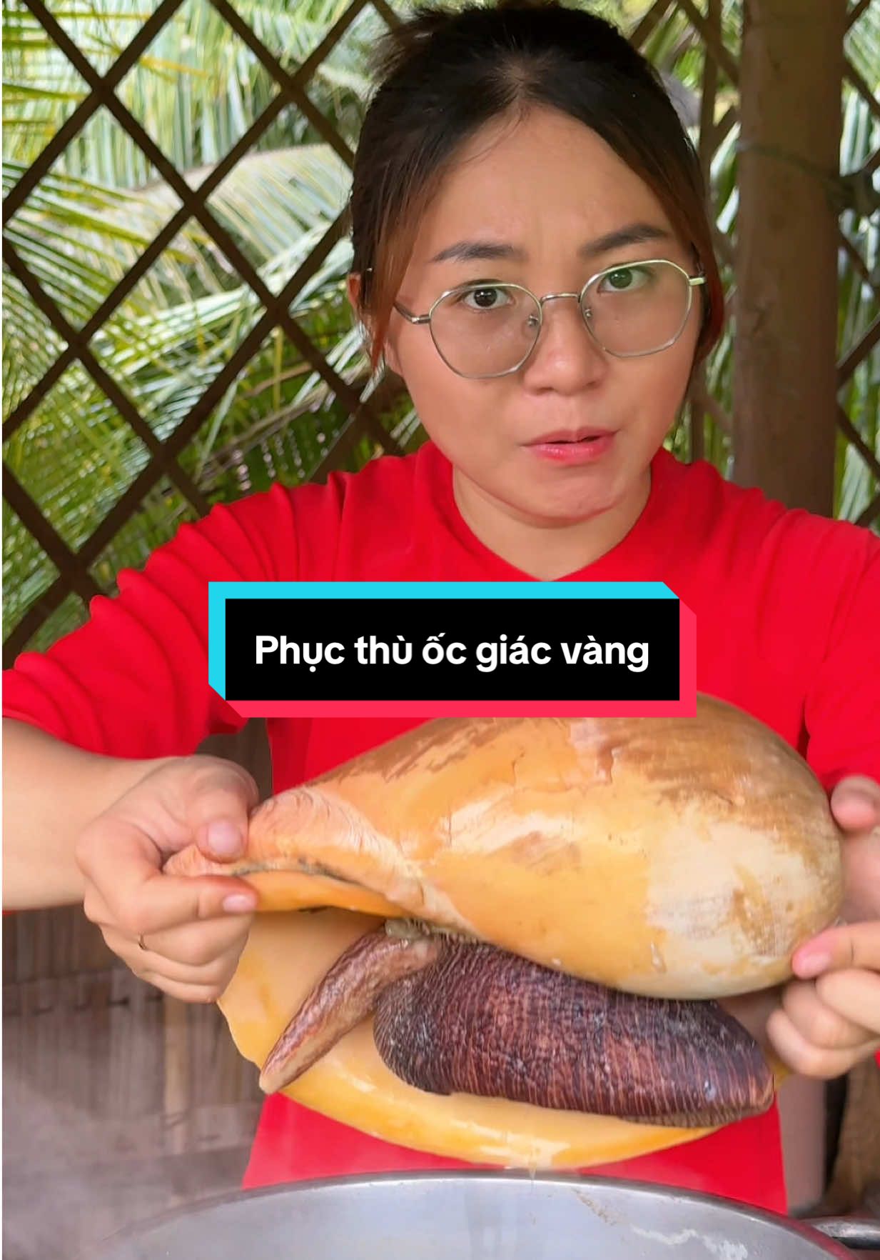 @Thi Thi Miền T&acirc;y