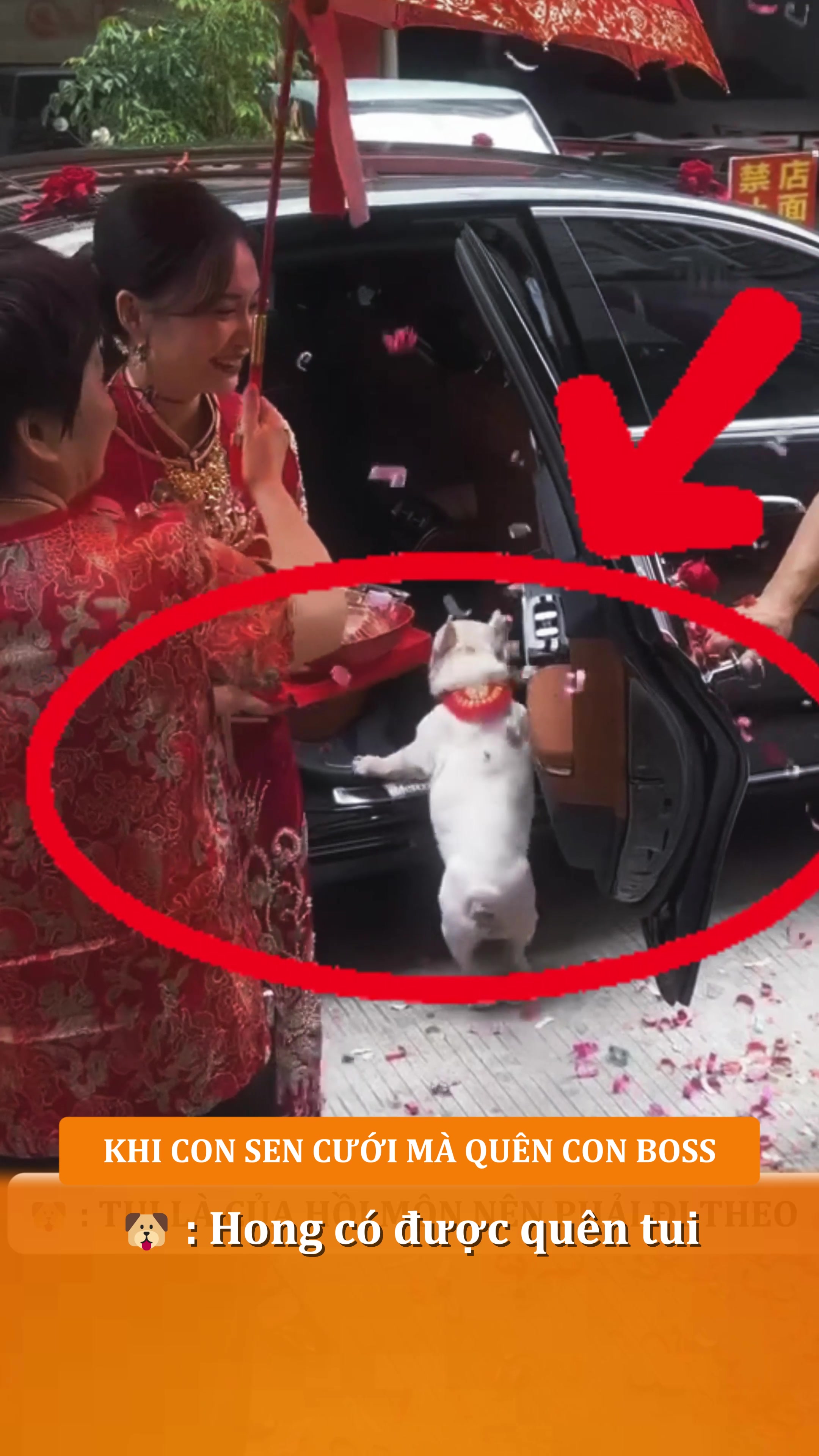 @Hunufa Việt Nam