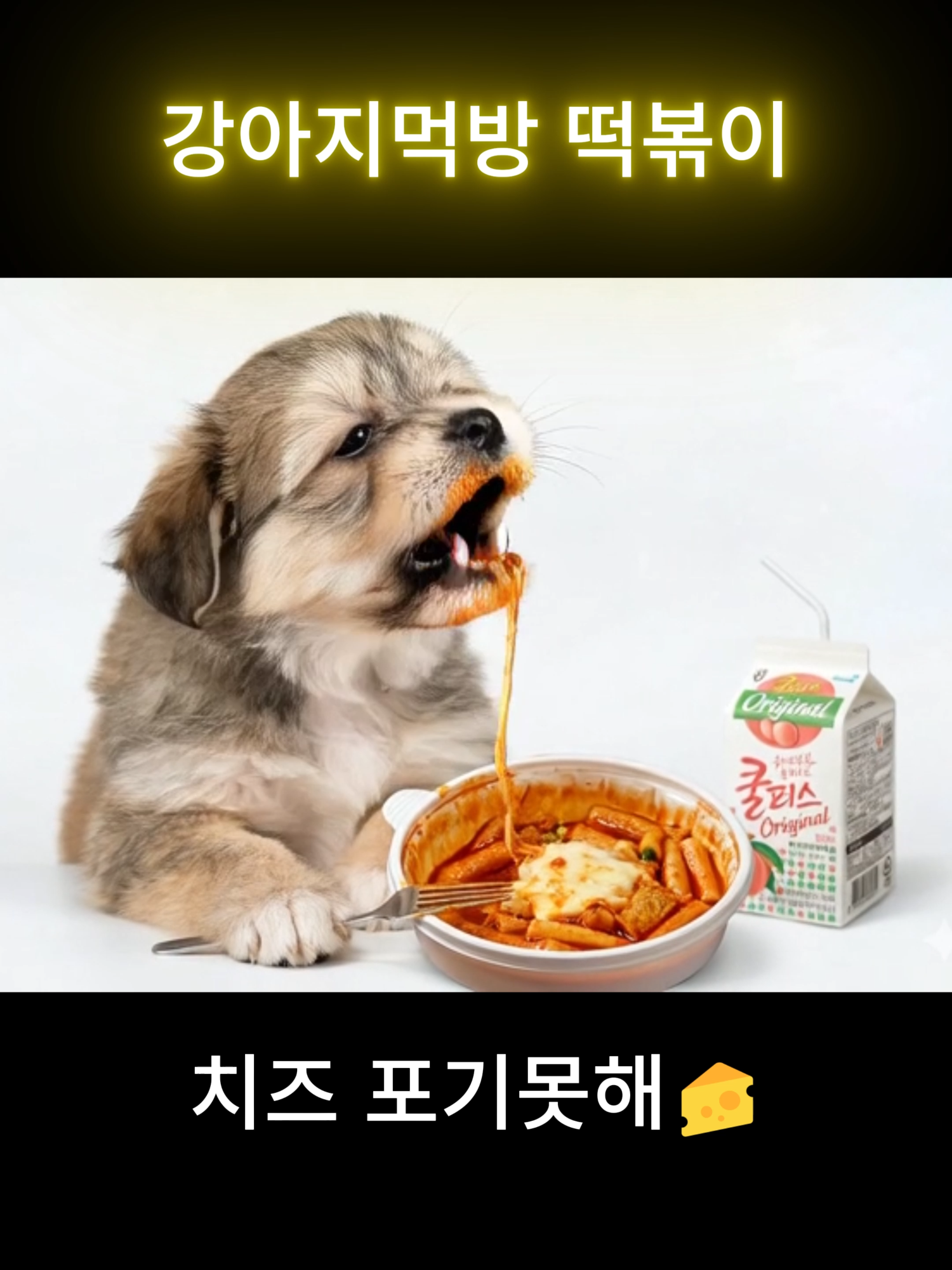 @멍스타견