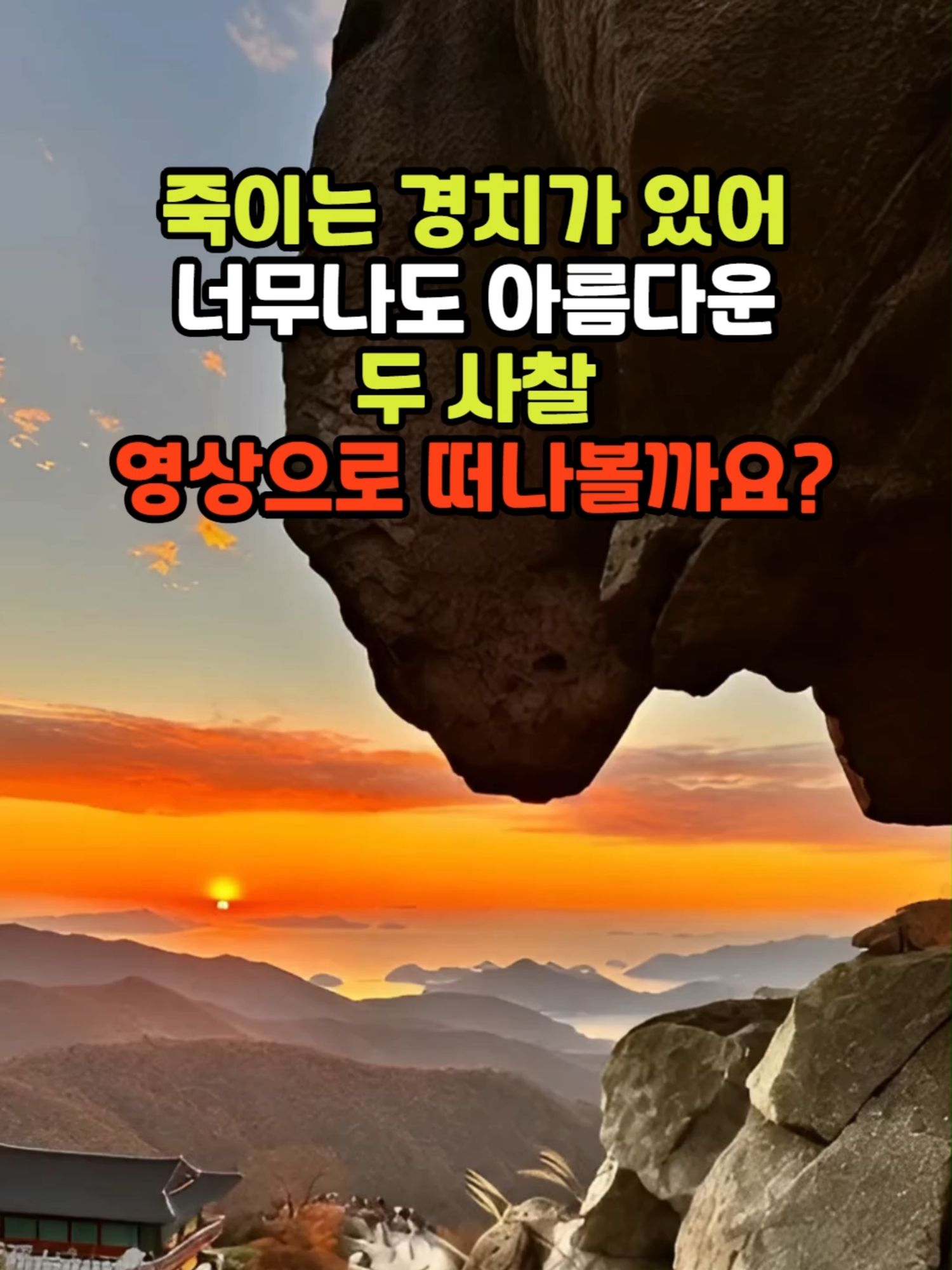 @꽃노리