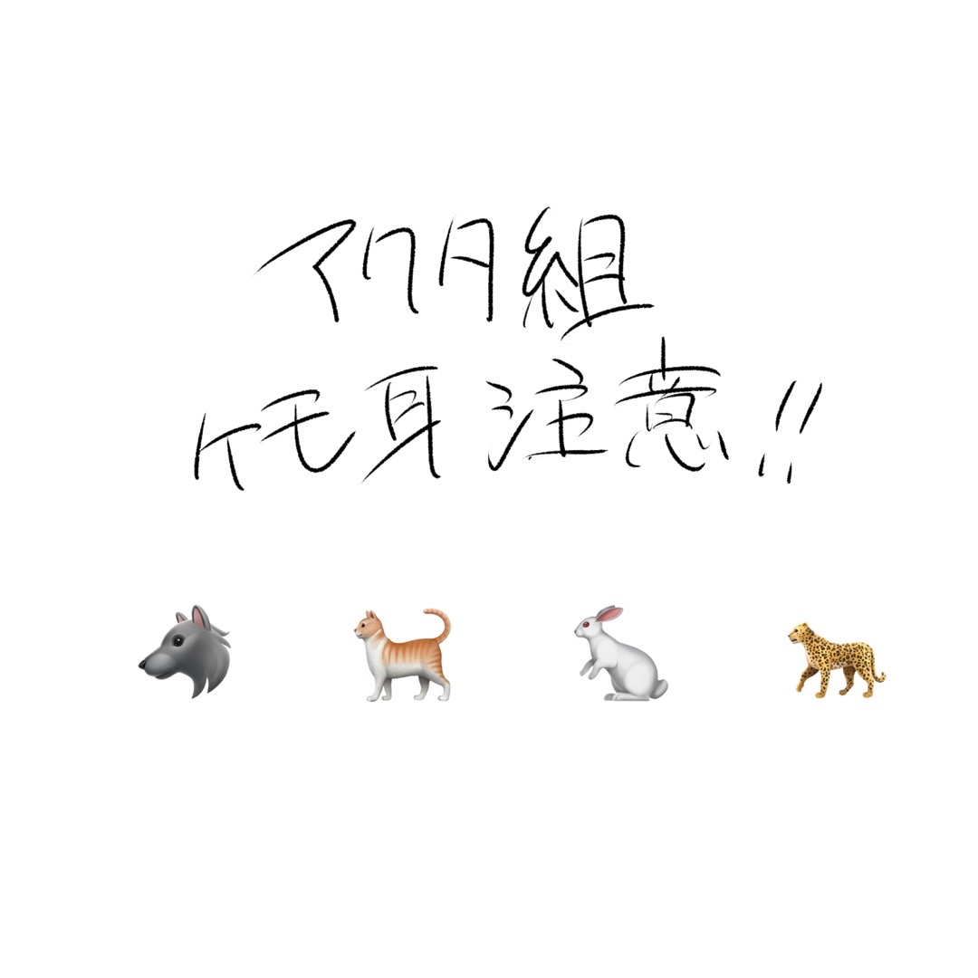 @つきまみ